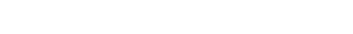 ACEGEEK