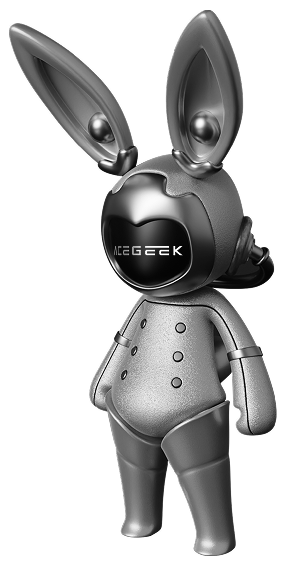 ACEGEEK